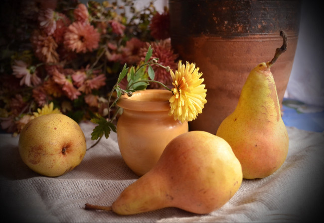 Обои картинки фото еда, груши, плоды, цветы