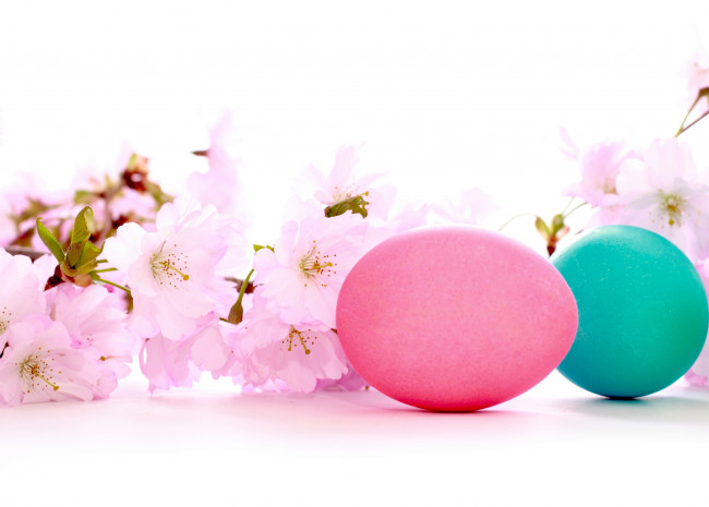 Обои картинки фото праздничные, пасха, вишневая, веточка, яички, праздник, цветы, цветение
