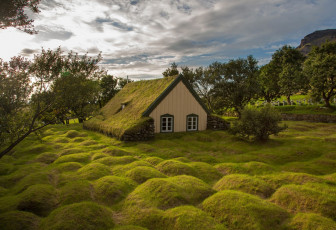 Картинка города -+здания +дома деревья кусты трава холмы избушка домик мох