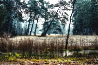 Картинка природа реки озера река лес