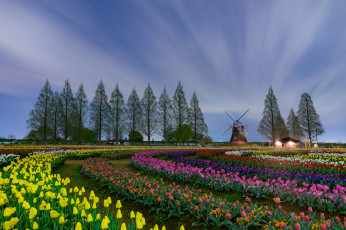 Картинка природа пейзажи мельница деревья цветы