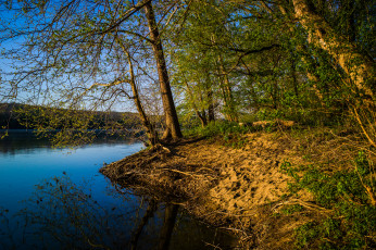 Картинка природа реки озера река лес