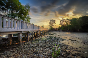 Картинка природа реки озера лес река