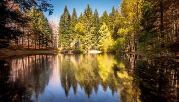 Картинка природа реки озера лес река