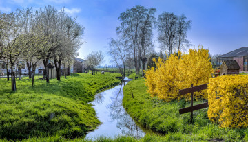 Картинка природа реки озера река лес