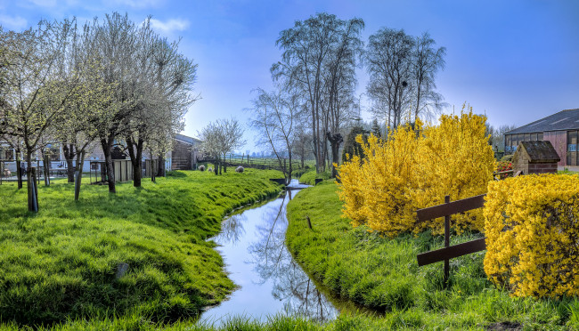 Обои картинки фото природа, реки, озера, река, лес