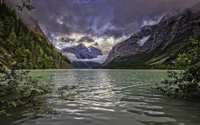 Обои картинки фото природа, реки, озера, река, лес