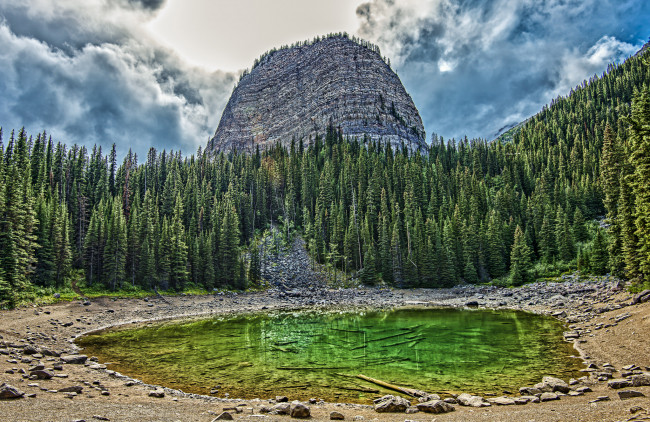 Обои картинки фото природа, реки, озера, река, лес