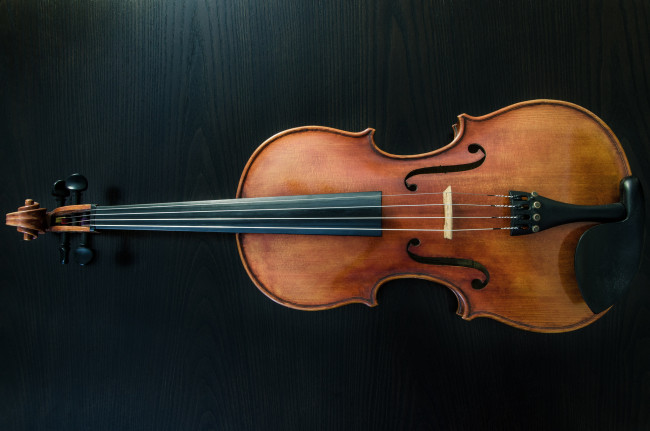 Обои картинки фото музыка, -музыкальные инструменты, скрипка