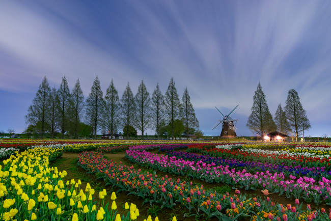 Обои картинки фото природа, пейзажи, мельница, деревья, цветы