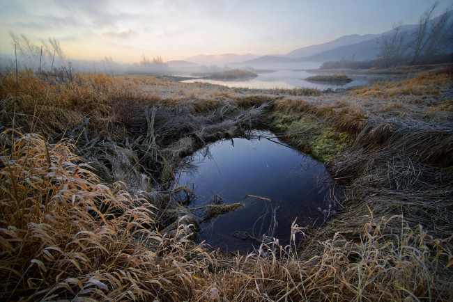 Обои картинки фото природа, реки, озера, река, лес