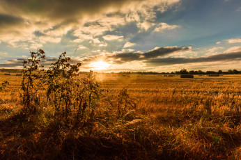 Картинка природа восходы закаты рассвет