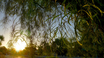 Картинка природа восходы закаты рассвет