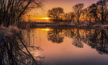 Картинка природа восходы закаты рассвет