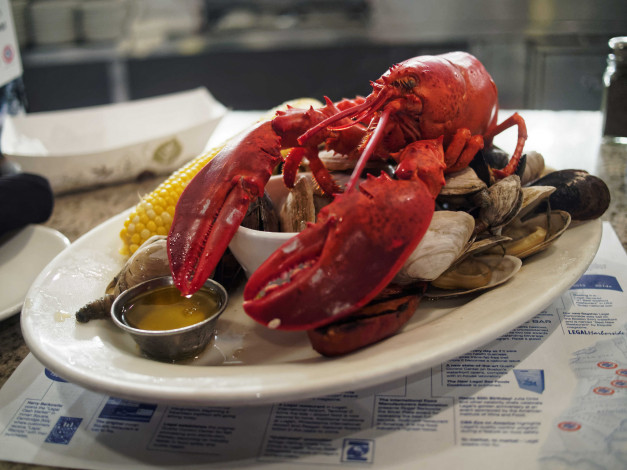 Обои картинки фото еда, рыба,  морепродукты,  суши,  роллы, омар