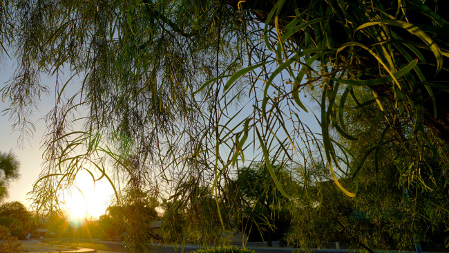 Обои картинки фото природа, восходы, закаты, рассвет