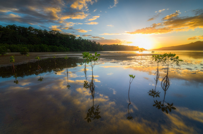 Обои картинки фото природа, восходы, закаты, рассвет