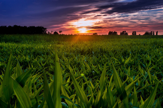 Обои картинки фото природа, восходы, закаты, рассвет