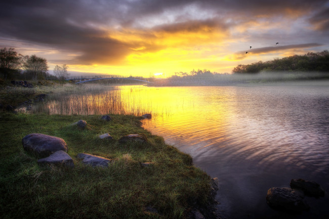 Обои картинки фото природа, реки, озера, лес, река