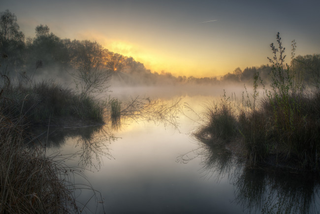 Обои картинки фото природа, реки, озера, лес, река