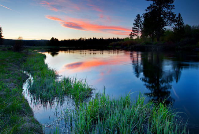 Обои картинки фото природа, реки, озера, лес, река
