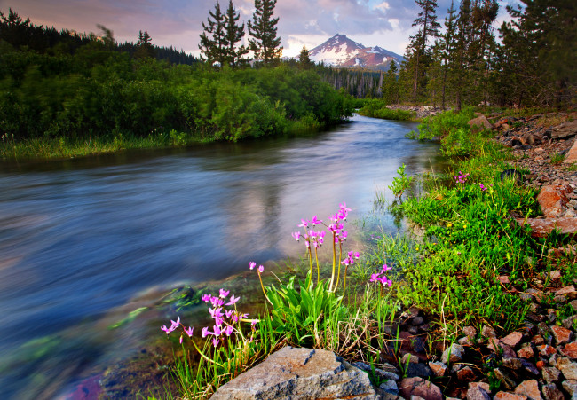 Обои картинки фото природа, реки, озера, лес, река