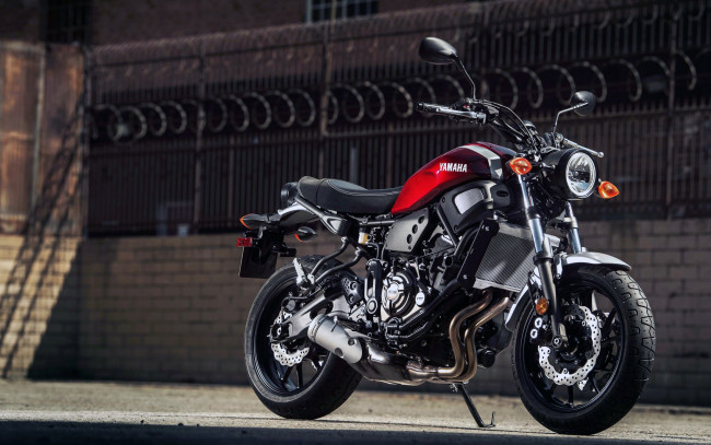 Обои картинки фото 2018 yamaha xsr700, мотоциклы, yamaha, 2018, ямаха, bikes, xsr700, мотоцикл