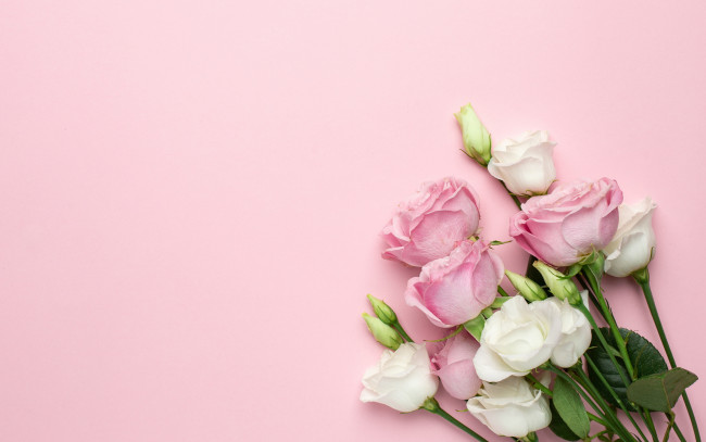 Обои картинки фото цветы, разные вместе, фон, розовый, букет, эустома