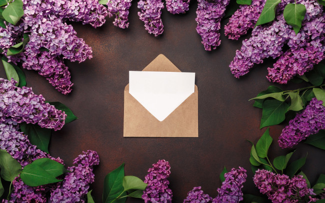 Обои картинки фото цветы, сирень, love, wood, flowers, romantic, letter, spring, purple, lilac