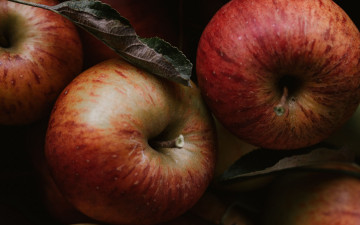 Картинка еда яблоки