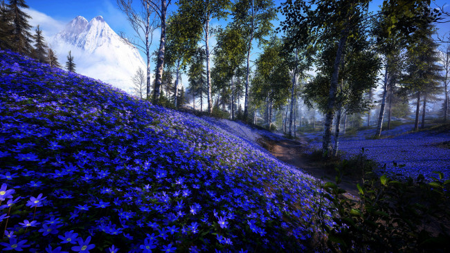 Обои картинки фото цветы, подснежники,  белоцветники,  пролески, пролески