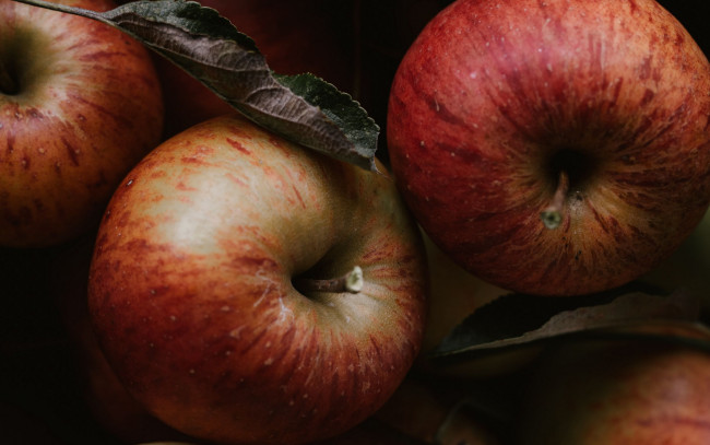 Обои картинки фото еда, яблоки