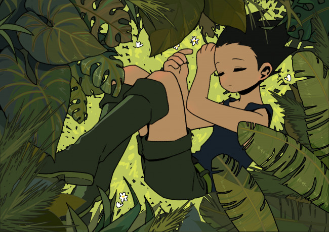 Обои картинки фото аниме, hunter x hunter, охотник, х