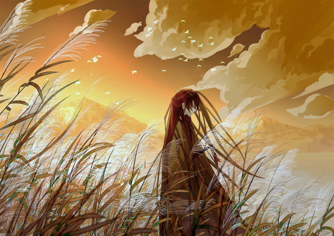 Обои картинки фото аниме, mo dao zu shi, вэй, усянь, поле