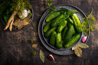обоя еда, огурцы