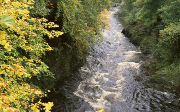 Картинка природа реки озера