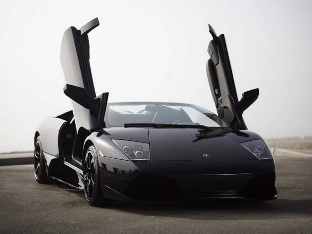 Обои картинки фото автомобили, lamborghini