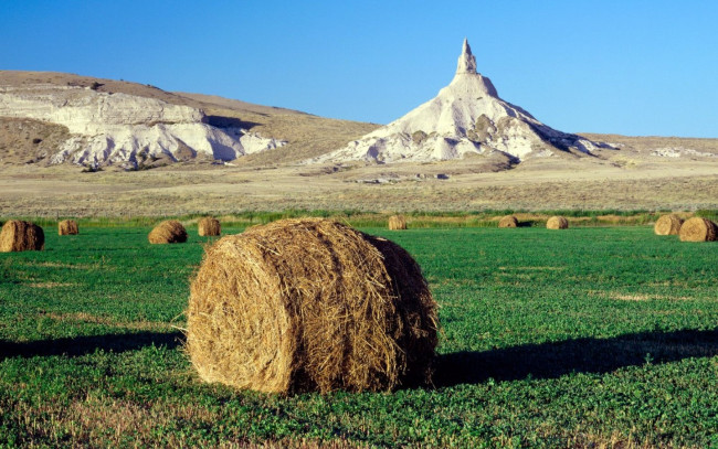 Обои картинки фото природа, поля