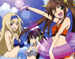 Картинка аниме infinite stratos