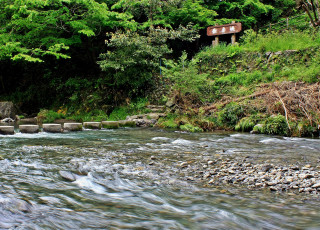 Картинка природа реки озера река лето переход