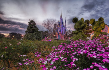 Картинка города диснейленд florida disneyworld
