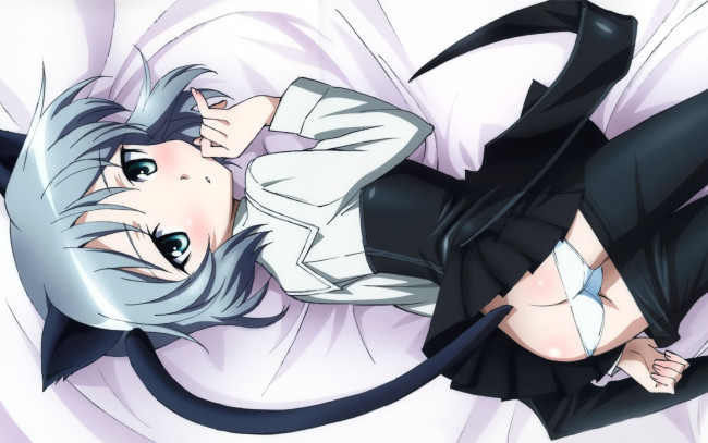 Обои картинки фото strike, witches, аниме