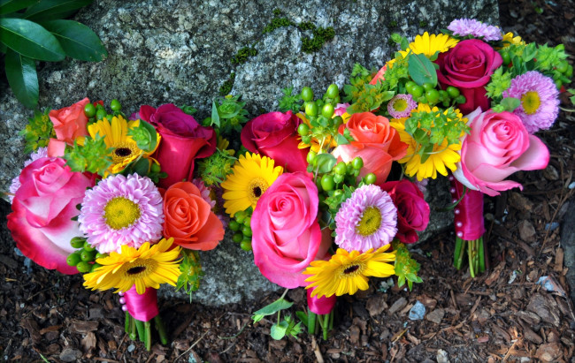 Обои картинки фото цветы, букеты, композиции, герберы, розы, астры