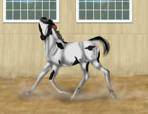 Картинка рисованные животные лошади лошадь