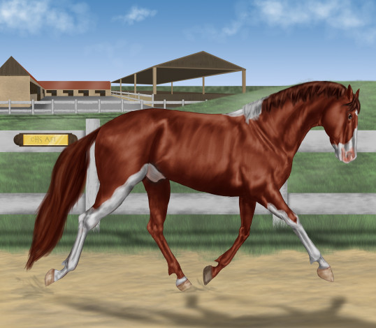 Обои картинки фото рисованные, животные, лошади, лошадь