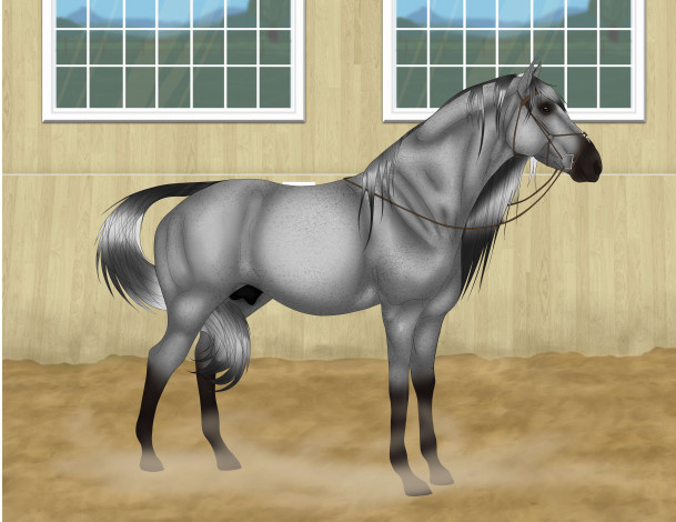 Обои картинки фото рисованные, животные, лошади, лошадь