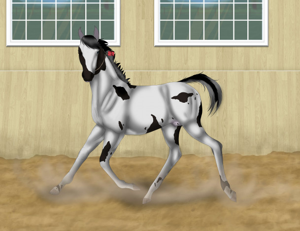 Обои картинки фото рисованные, животные, лошади, лошадь