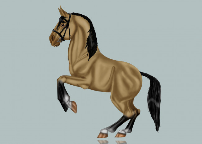 Обои картинки фото рисованные, животные, лошади, лошадь