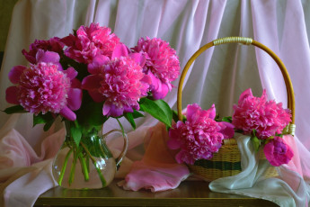 Картинка цветы пионы розовый