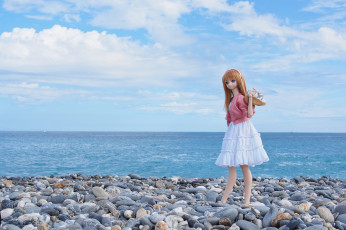 Картинка разное игрушки кукла